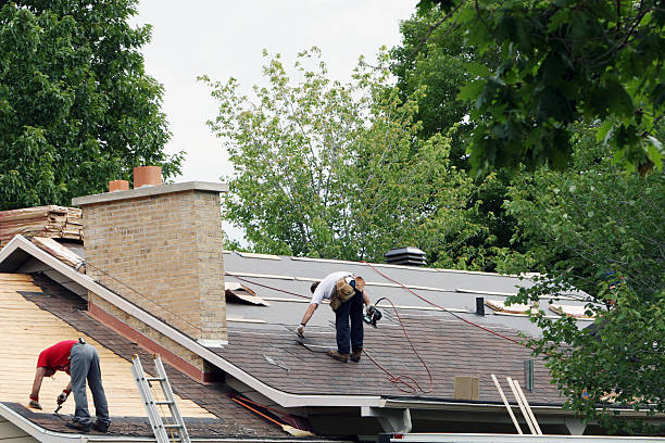 Best Shingle Roofing Installation  in Palmetto Estates, FL