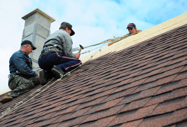 Roof Gutter Cleaning in Palmetto Estates, FL