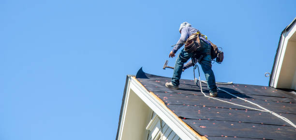 Best Roof Gutter Cleaning  in Palmetto Estates, FL